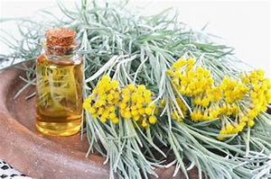 Helichrysum (Immortelle) Essential Oil: A Miracle Elixir for Skin and Soul