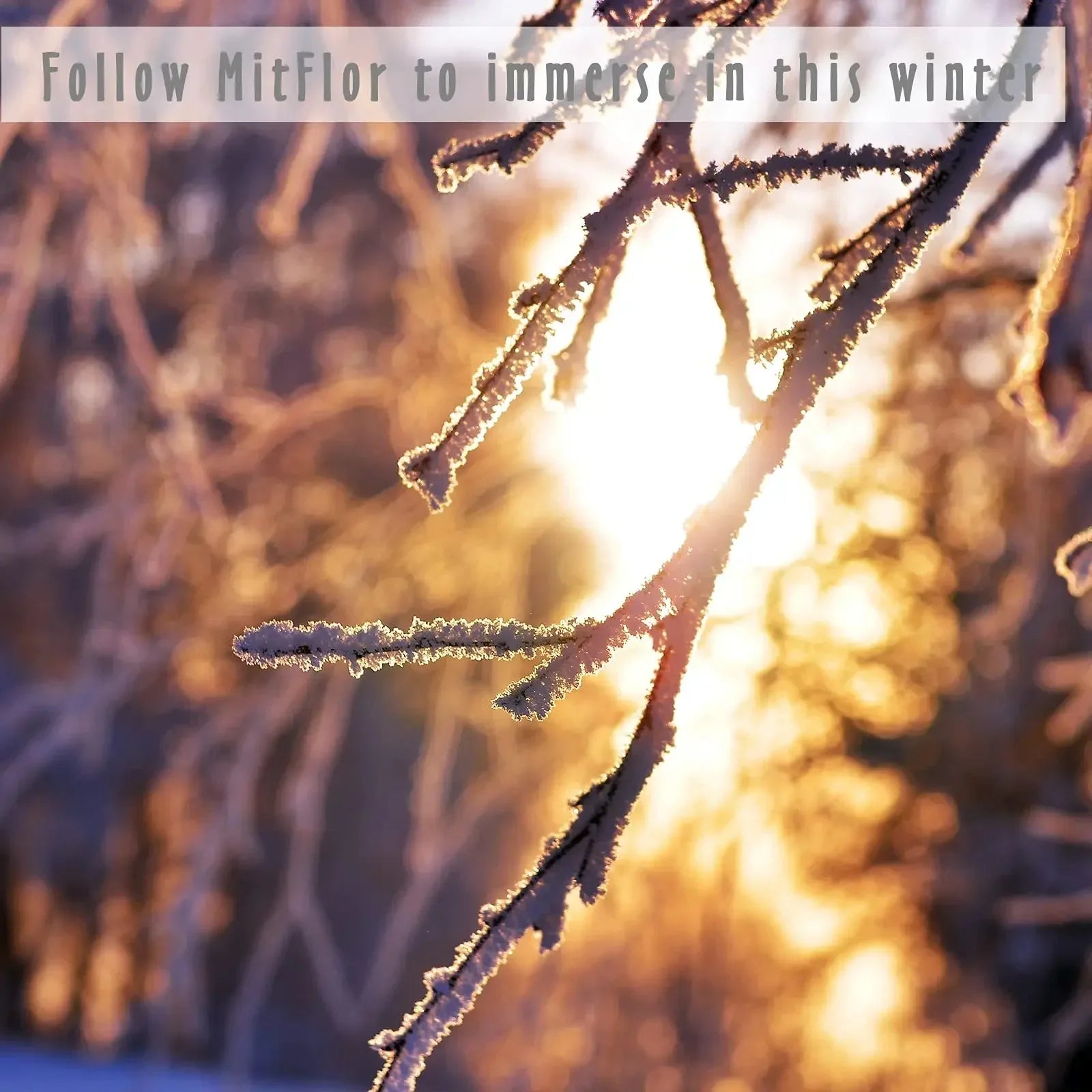 6 Fall Scents for Diffusers, Candles & Soaps (10ml Each) - CRYSTALOIL