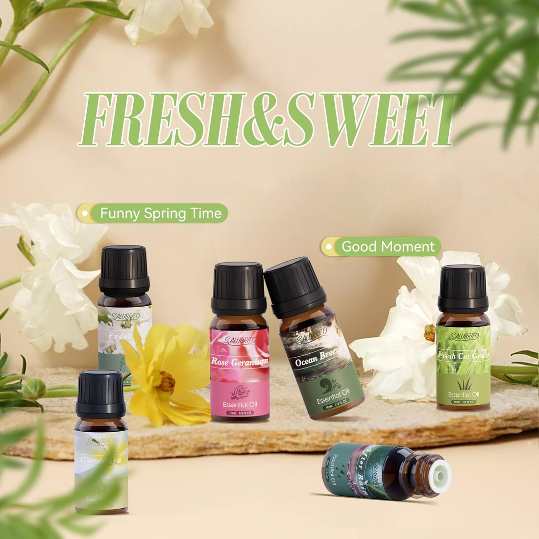 SALUBRITO Halloween Fragrance Oils Set