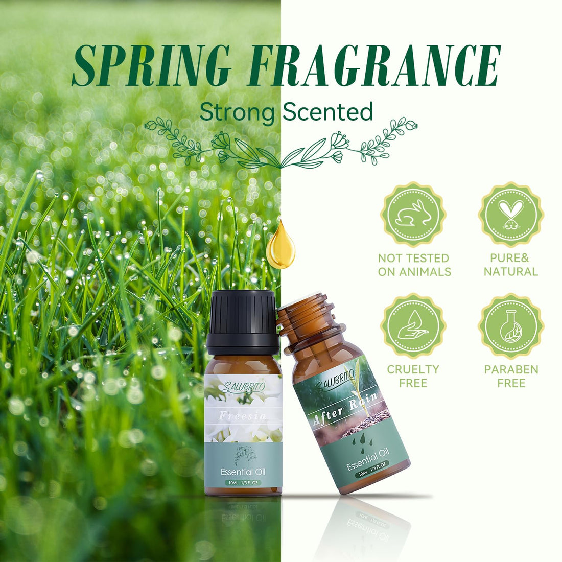 SALUBRITO Halloween Fragrance Oils Set