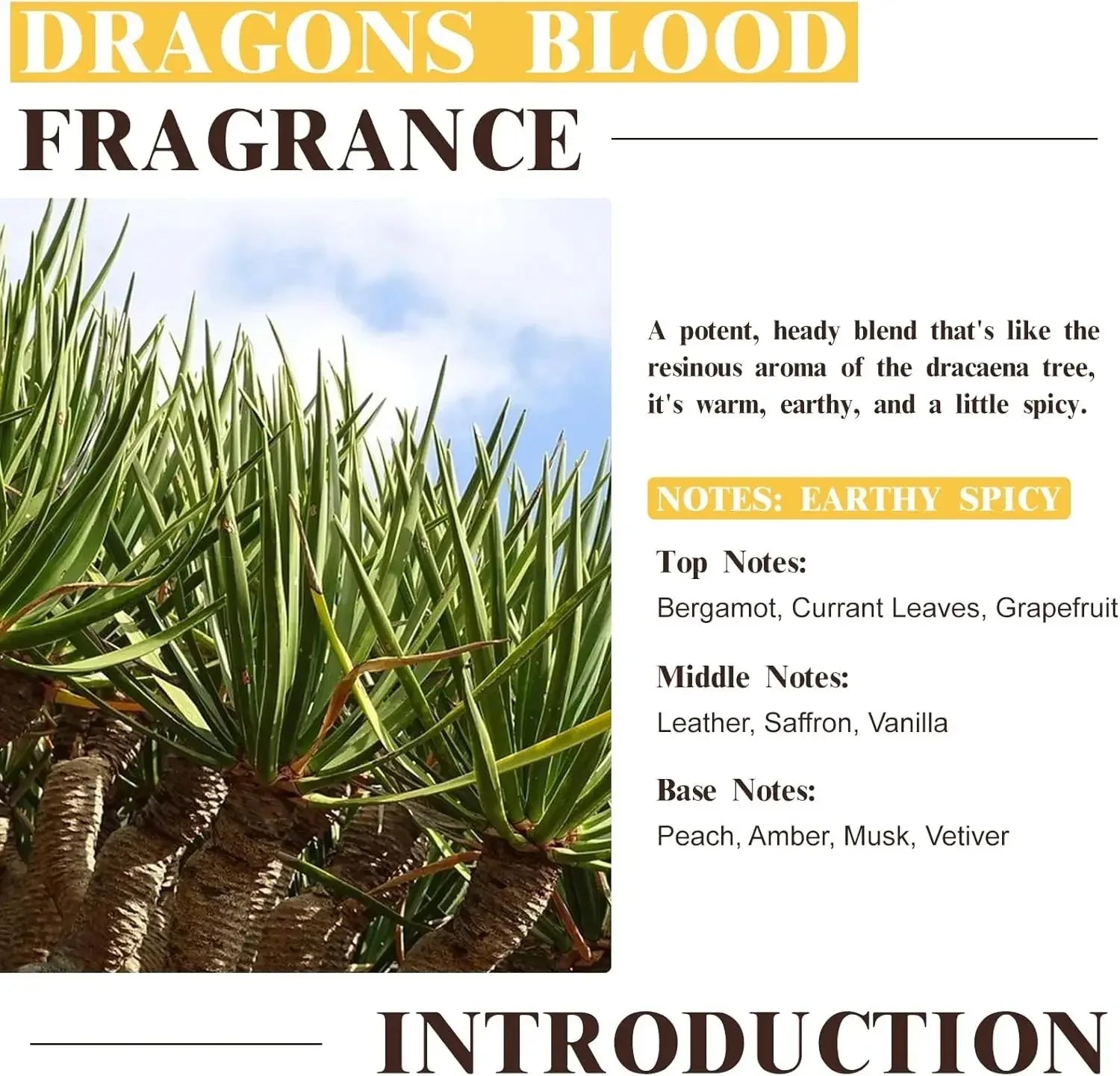 EUQEE Dragons Blood Fragrance Oil – 60ml Dropper Bottle - CRYSTALOIL