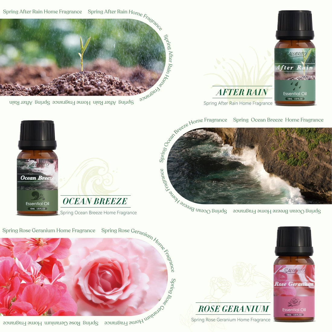 SALUBRITO Halloween Fragrance Oils Set