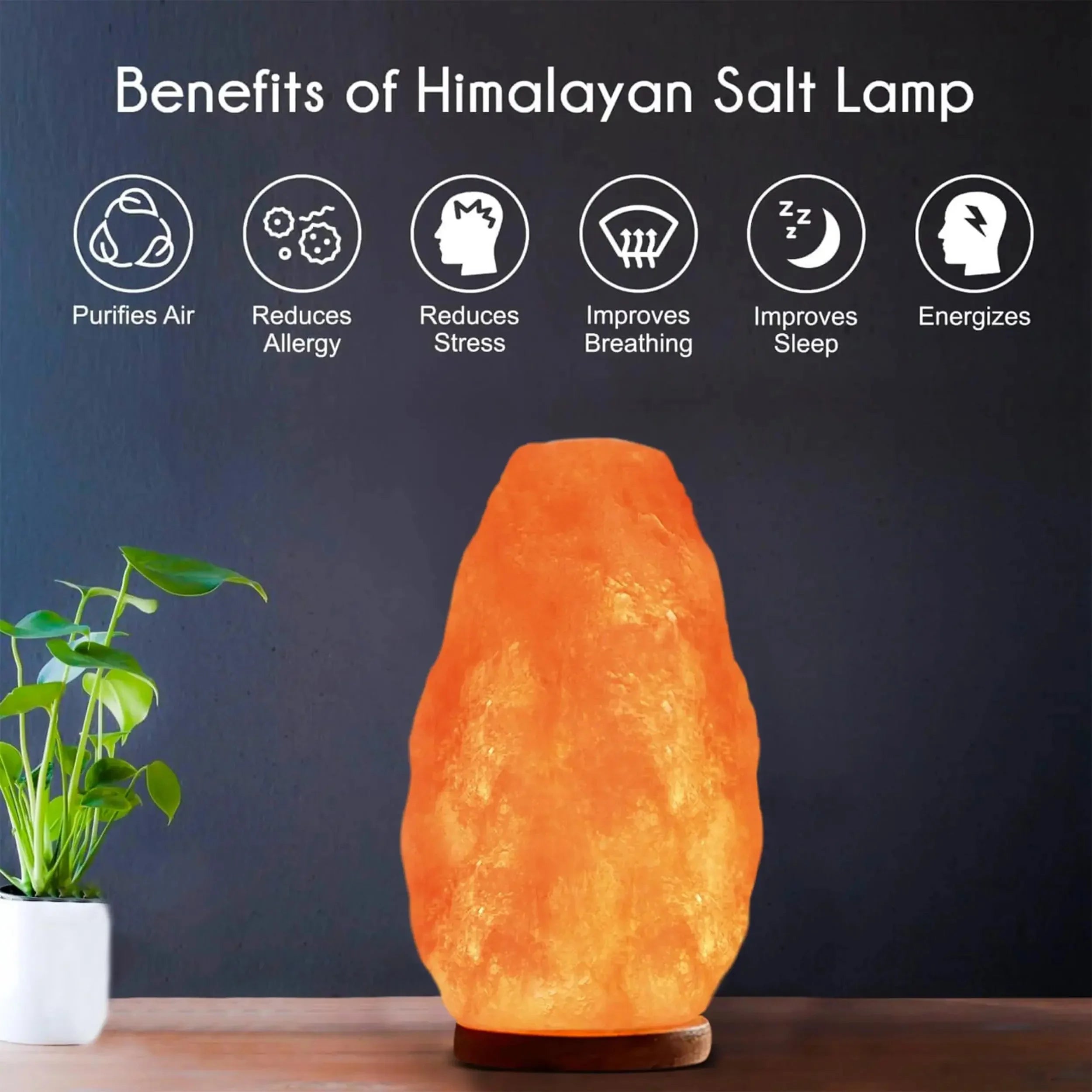 Himalayan Glow Salt Lamp with Dimmer Switch 5-7 lbs - CRYSTALOIL