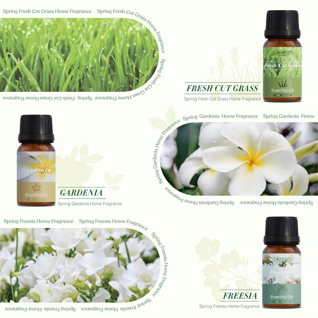 SALUBRITO Halloween Fragrance Oils Set