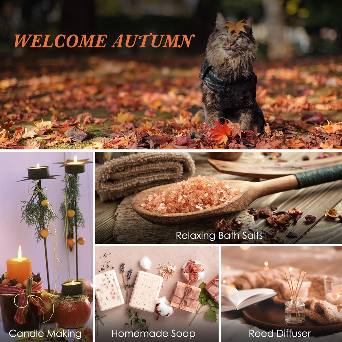 SALUBRITO Halloween Fragrance Oils Set