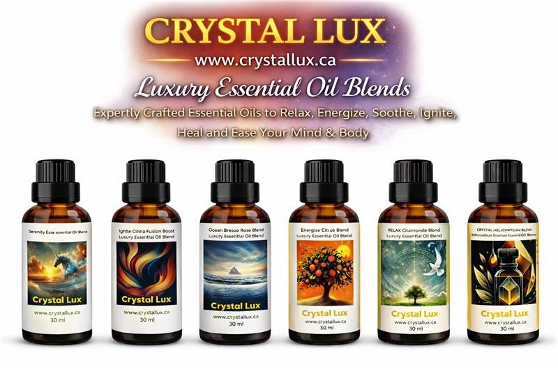 Box of 4 bottles Luxury Helichrysum Essential Oil for Skin Rejuvenation and Regeneration