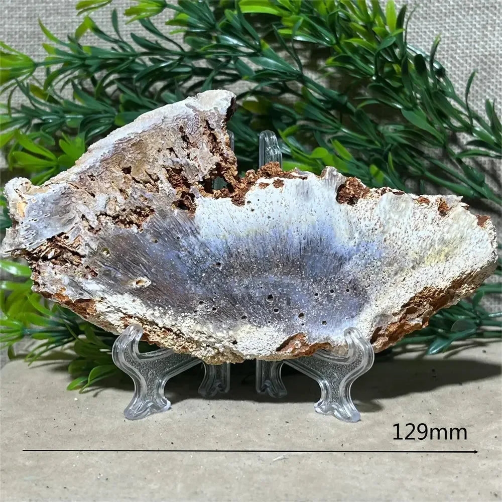 Crystal Natural Agate Rutile Slab Slice Stone Reiki Quartz - CRYSTALOIL