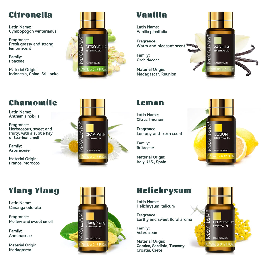 MAYJAM 35 Bottles Essential Oils Gift Sets