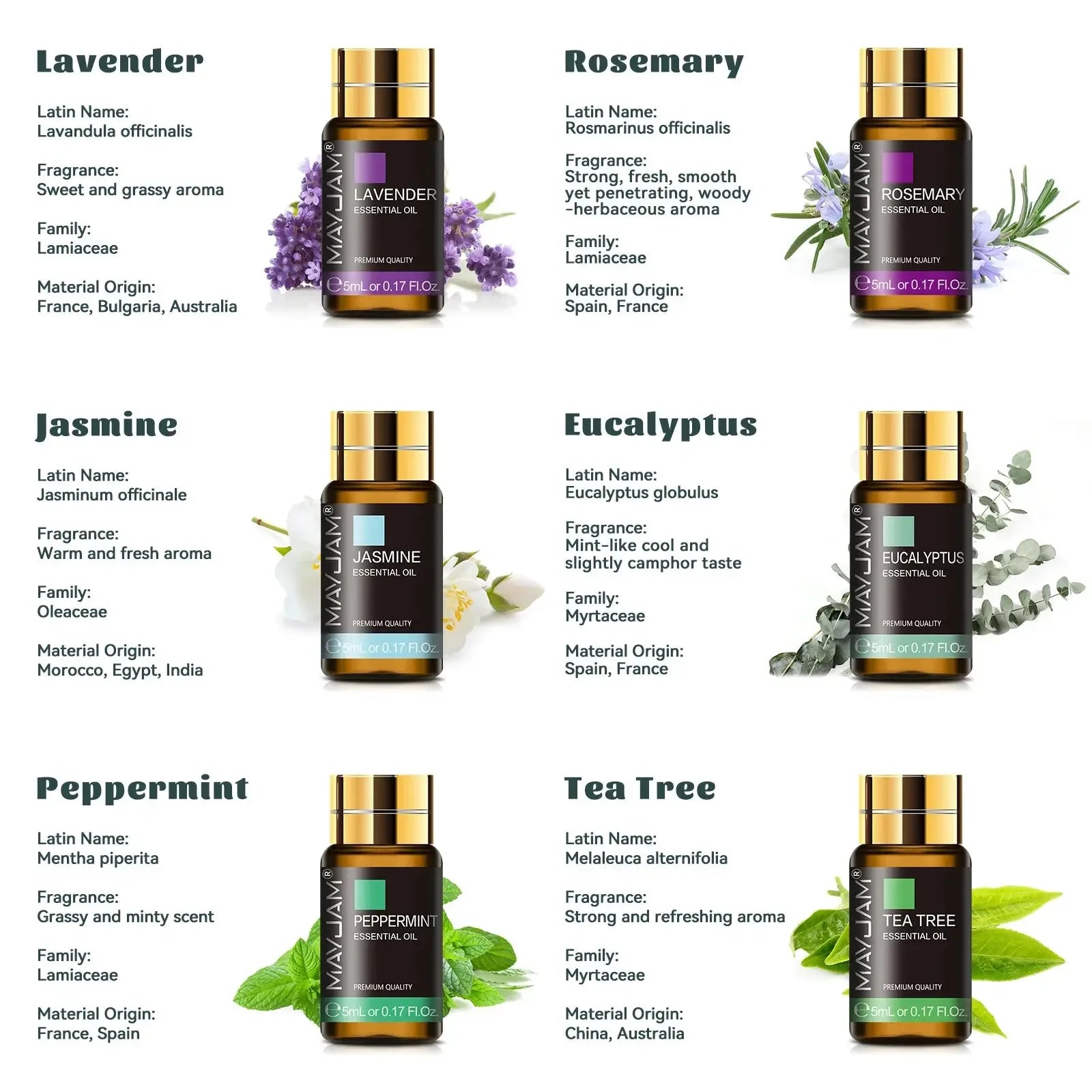 MAYJAM 35 Bottles Essential Oils Gift Sets - CRYSTALOIL