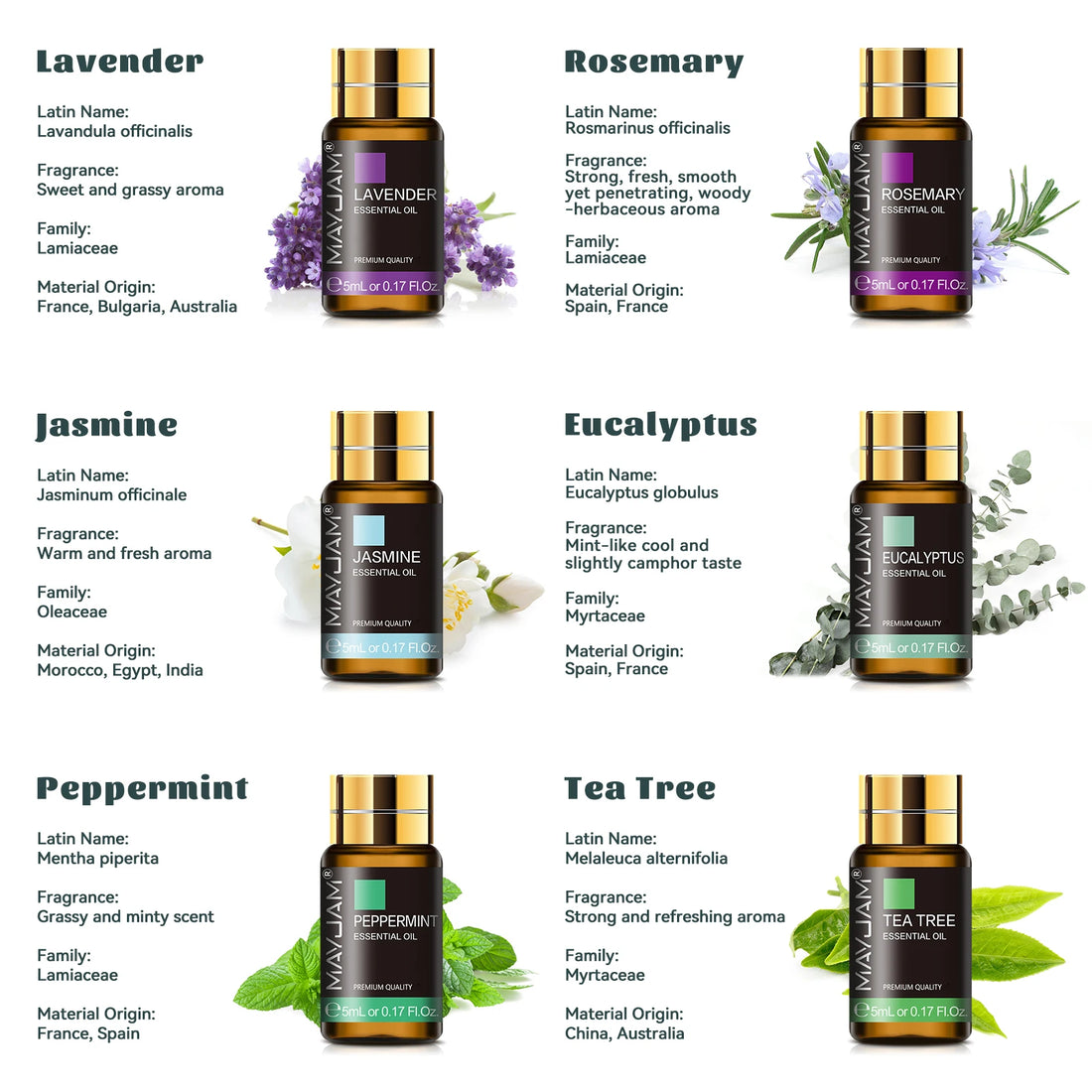 MAYJAM 35 Bottles Essential Oils Gift Sets