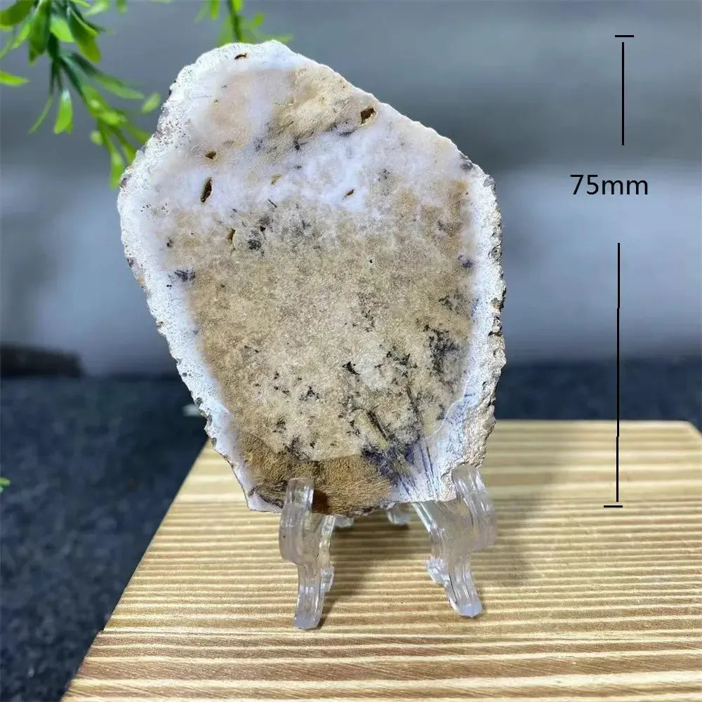 Crystal Natural Agate Rutile Slab Slice Stone Reiki Quartz - CRYSTALOIL